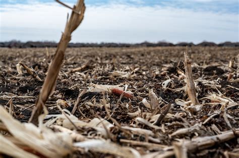 No-Till Farming in SD 的图像结果