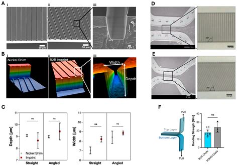 Roll-to-Roll (R2R) High-Throughput Manufacturing of Foil-Based ...