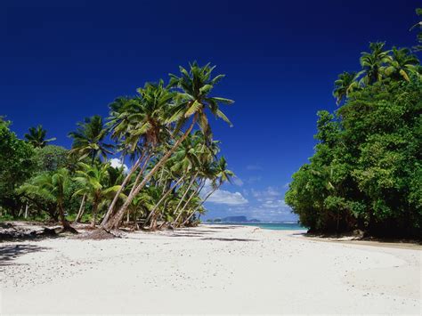 Things to do in Samoa | The Australian