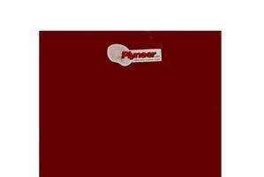 Plyneer Shuttering 8 ft x 4 ft Shuttering / Centering Grade ...