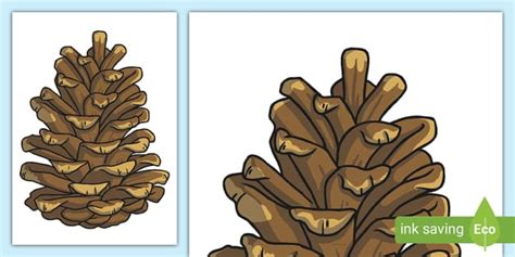 Pine Cone Display Cut-Out - Twinkl - KS1