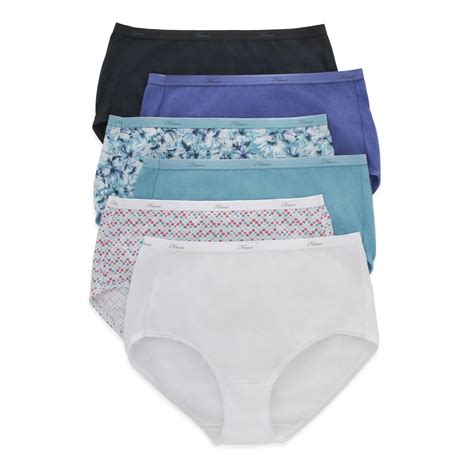 Snapklik.com : Hanes Womens Plus Size High-Waisted Panties, 6-Pack ...