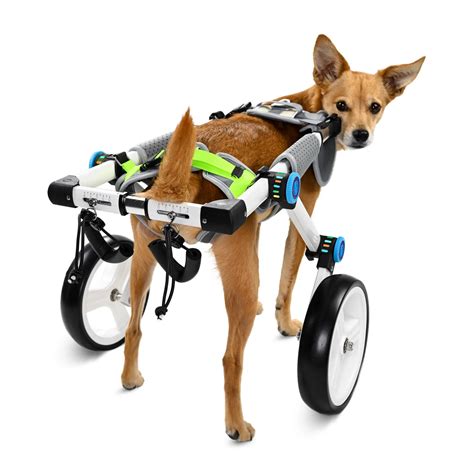 Fordable Dog Wheelchairs For Dog Back Legs - Crawlpaw