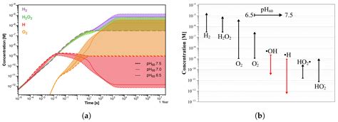 Preliminary Assessment of Radiolysis for the Cooling Water System in ...