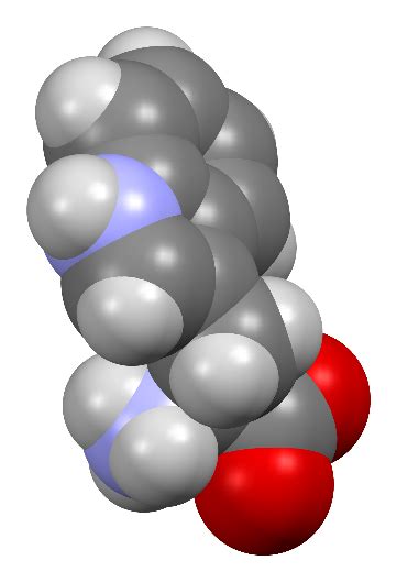 TRYPTOPHAN - IAS GYAN