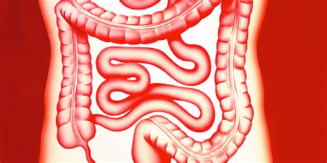 Appendix Symptoms In Starting Time Serious Diseases In Hindi | appendix ...