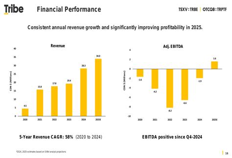 Tribe Property Technologies Q4 2024 slides: First positive EBITDA amid ...