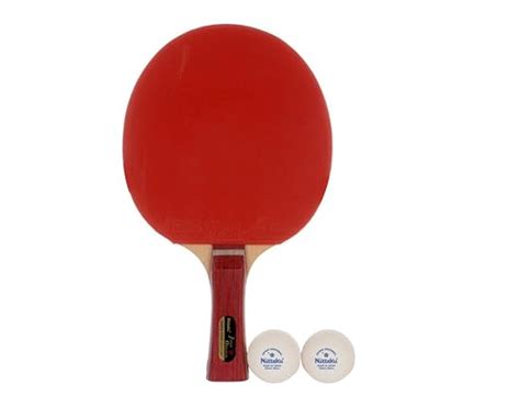 Buy Nittaku Japan Original Shake 2000 Table Tennis Set Online at Low ...