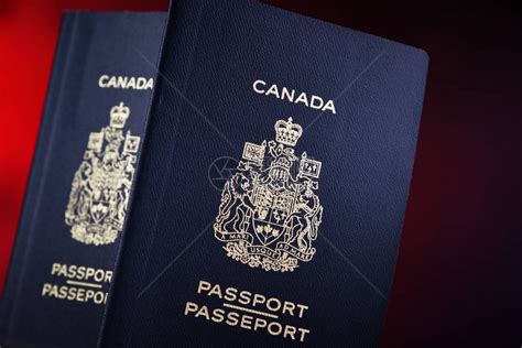用两本加拿大护照作文高清图片下载-正版图片503916644-摄图网