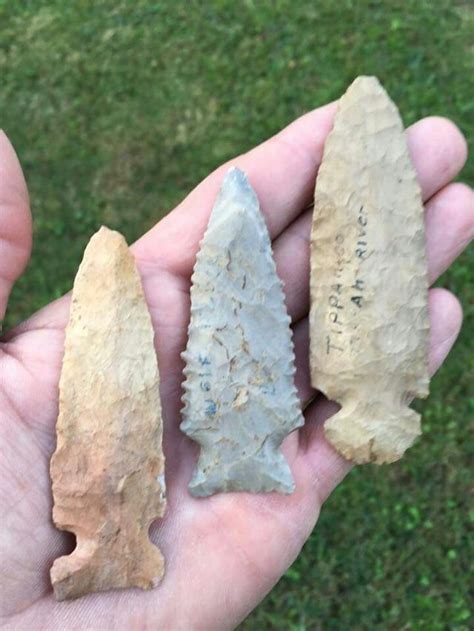 Wampanoag Arrowheads Authentic Native Artifacts