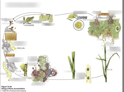 Image result for Rust Farm Cycle