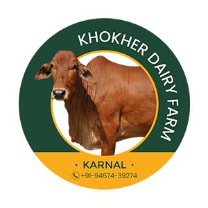 Boost Your Dairy Farm Cattle Business With Dairy Mitra