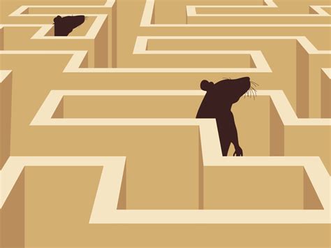 Image result for Learning Cycle Phases