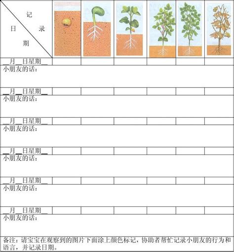 植物记录卡怎么做图片,植物介绍卡图片,植物记录卡图片_大山谷图库