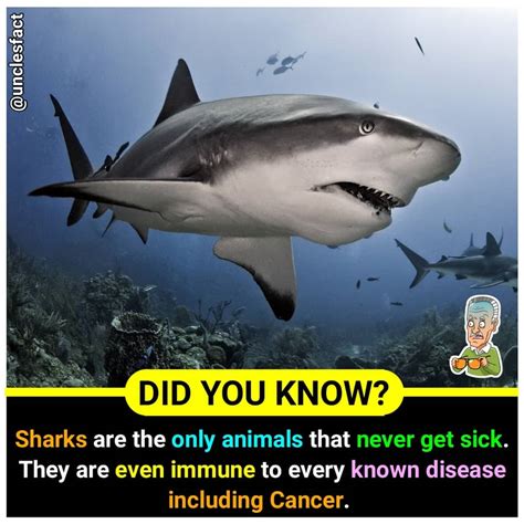 Image result for Random Amazing Facts