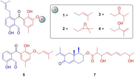 Highly Substituted Benzophenone Aldehydes and Eremophilane Derivatives ...