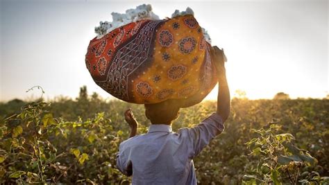 Circular & Climate Positive - IKEA