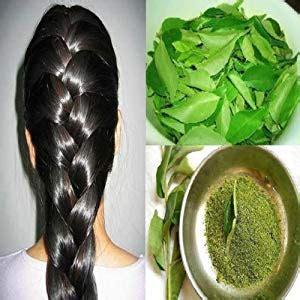 Buy Go Organic Curry Leaves Powder To Grow Long, Strong and Shiny Hair ...