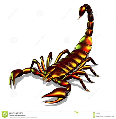 8+ Scorpion Clip Art - Preview : Scorpion Clipart | HDClipartAll
