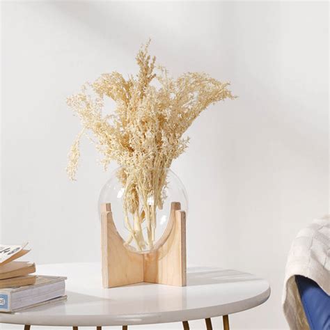 Corn Grass Stem Online - Premium Dried Flower Stick | Nestasia