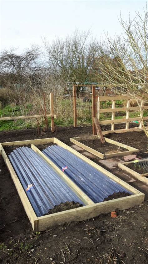 Image result for How to Make Raspberry Support Using Calf Panels