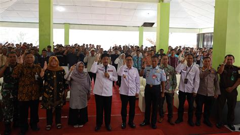 Image result for Bpip Internship Program