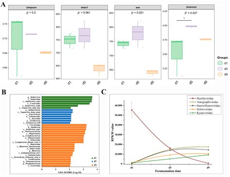 Insights into the Composition and Function of Virus Communities During ...