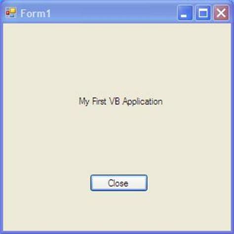 Image result for Visual Basic Example Application