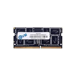 Amazon.in: Buy EVM 8GB 5600 MHz High-Performance DDR5 Laptop RAM, Ultra ...