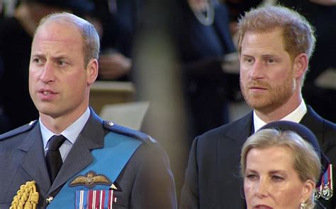 New book claims Prince Harry turned down Prince William's effort to ...