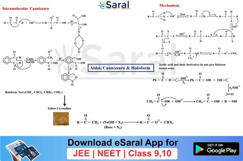 Aldol, Cannizzaro and Haloform Reaction Mind Map | Organic Chemistry ...