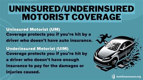 Image result for Alternative Auto Insurance