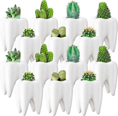 Yuxung Tooth Shaped Flower Pot Dental Pots Ceramic Modern India | Ubuy