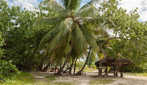 Cabanes des Anges - Apartment - Location - La Digue (Seychelles) - Photo 21
