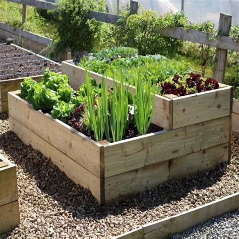 Raised Bed Veggies