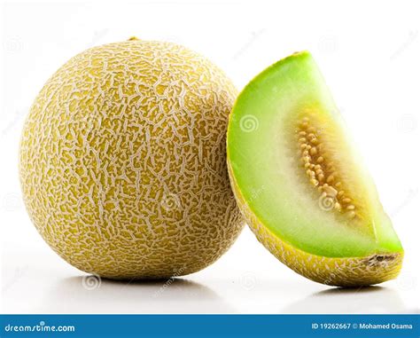 Cantaloupe Melon Green at Alan Burke blog