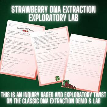 Extracting Strawberry DNA Lab 的图像结果