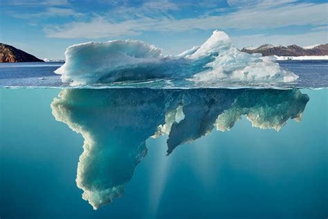 Scientists Stunned By Alien-like Ecosystem Under Antarctic Iceberg