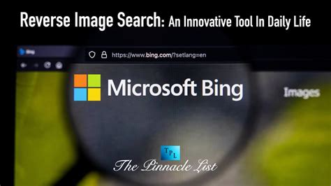 Bing Visual Search Gallery 的图像结果