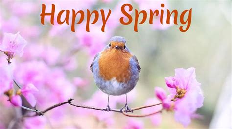 Image result for First Day of Spring