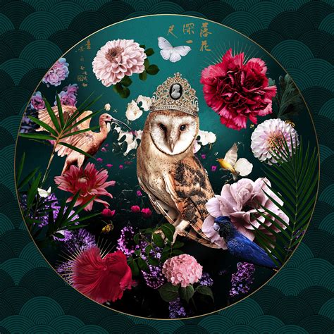 Image result for Allegory Visualization Software