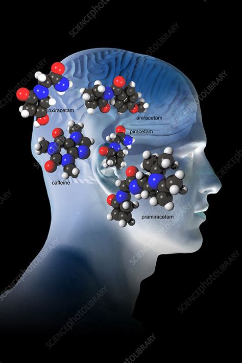 Image result for Brain Functioning Supplements