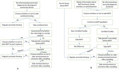 Non-Invasive Prenatal Testing (NIPT) Implementation in Japan: A ...