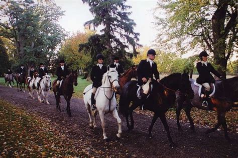 HAMPTON INN GENESEO - Hotel Reviews, Photos, Rate Comparison - Tripadvisor