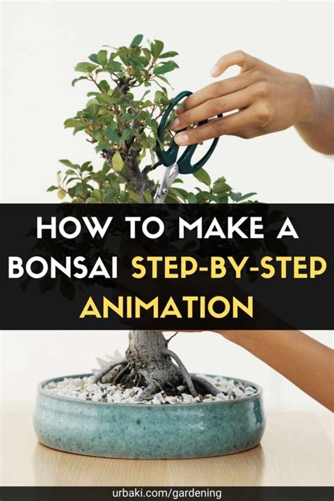 Image result for Bonsai Making Tutorial