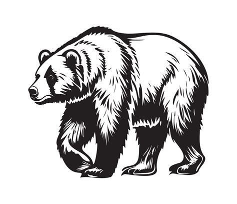 Black Bear Head Clip Art