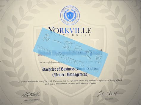 购买约克维尔大学学位证辉煌一刻，加拿大online留信文凭认证