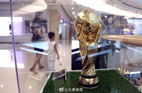 中国申办2030世界杯？足协人士：男足现在这成绩 怎么申办？_PP视频体育频道