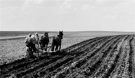 What Was Agriculture Like In The 1920S at Megan Blackmon blog