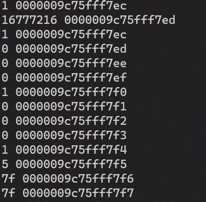 Integer Example.c 的图像结果